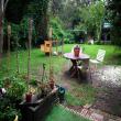 Roommate Finder -  Looking for Roommate 