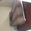 Roommate Finder -  Looking for Roommate 