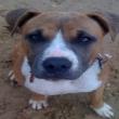 Roommate Finder -  Looking for Roommate 